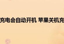 苹果手机关机充电自动开机(苹果手机为什么关机充电会自动开机)-UM新媒体-自媒体短视频运营平台